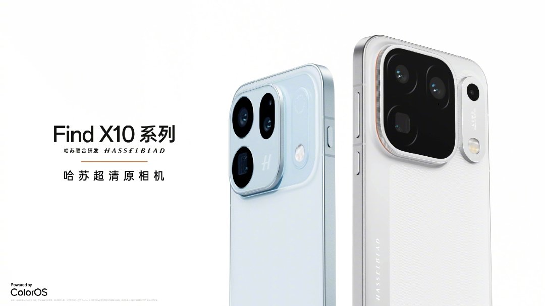 体育会员活动参与指南：注意事项与条件确认 - 中欧官网入口